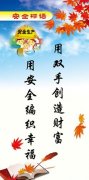 kaiyun官方网站:内控原则及五要素(内控五原则)
